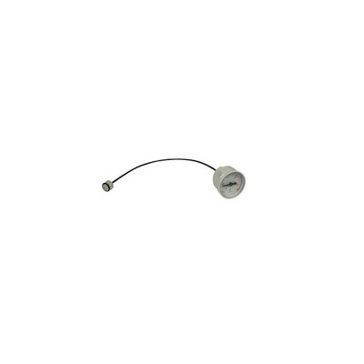 Poza Manometru centrale termice Viessmann Vitopend 100 WH1D, Vitodens 050 BPJD. Poza 10229