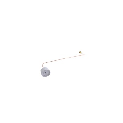 Poza Manometru centrala termica Viessmann Vitodens 111-W B1LB. Poza 10236