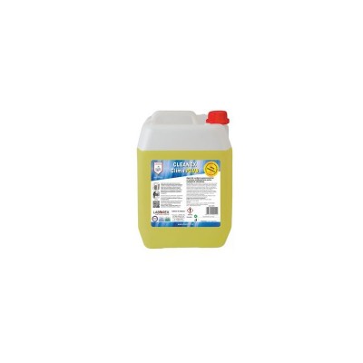 Poza Detergent superconcentrat pentru aer conditionat Cleanex Clima Plus, canistra 5 kg. Poza 11906