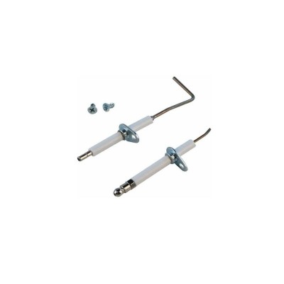 Poza Kit electrozi centrala Pegasus. Poza 12451
