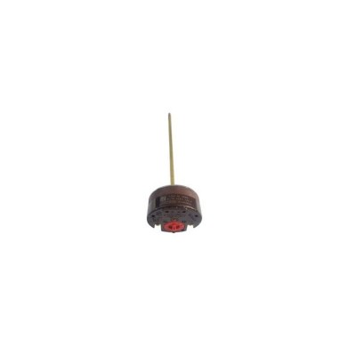 Poza Termostat pentru boiler electric Ferroli Calypso 120VEMT. Poza 14026