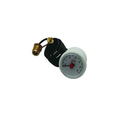 Poza Manometru centrala termica Immergas Zeus 27 Superior. Poza 14196