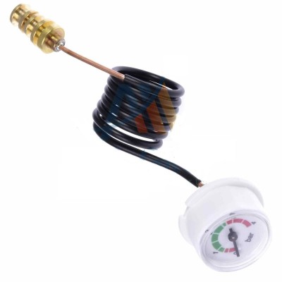 Poza Manometru centrala termica Bosch Condens 2500W 87186457920. Poza 15259