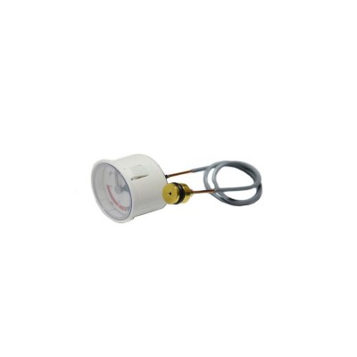 Poza Manometru centrale termice Baxi Westen Pulsar D,Quadsar D 8922460. Poza 15261