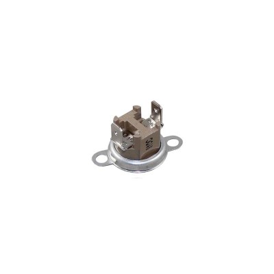 Poza Limitator de temperatura centrala termica Bosch Condens 2000, Buderus Logamax Plus. Poza 16197