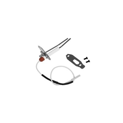 Poza Kit electrozi centrale termice Ferroli Bluehelix Pro 32C. Poza 16659