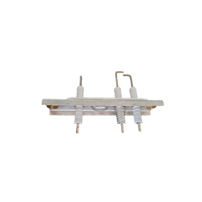 Poza Set electrozi centrale termice Bosch Condens, Junkers Cerapur si Cerasmart 87186649200. Poza 17079