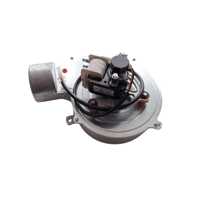 Poza Ventilator 50W centrala peleti Ferroli Breta Pellet, Biopellet PRO. Poza 18646