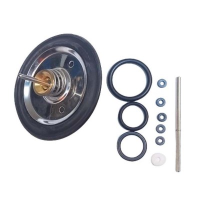 Poza Kit membrana vana deviatoare, o-ring-uri si ax centrala Vision Dual 24 SE. Poza 18939