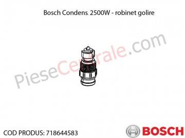 Poza Robinet de golire centrala termica Bosch Condens 2500W