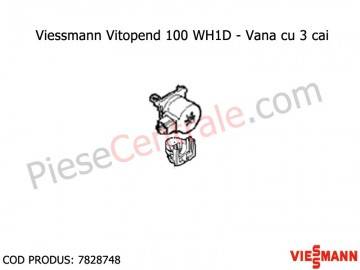 Poza Vana cu 3 cai centrale termice Viessmann Vitopend 100 WH1D, Vitodens 100 WB1B